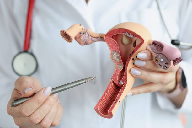 Best Gynaecologist Doctor in Ghatkopar